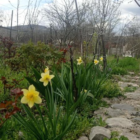 Dusheti Rose Daire Dushet'i Dış mekan fotoğraf