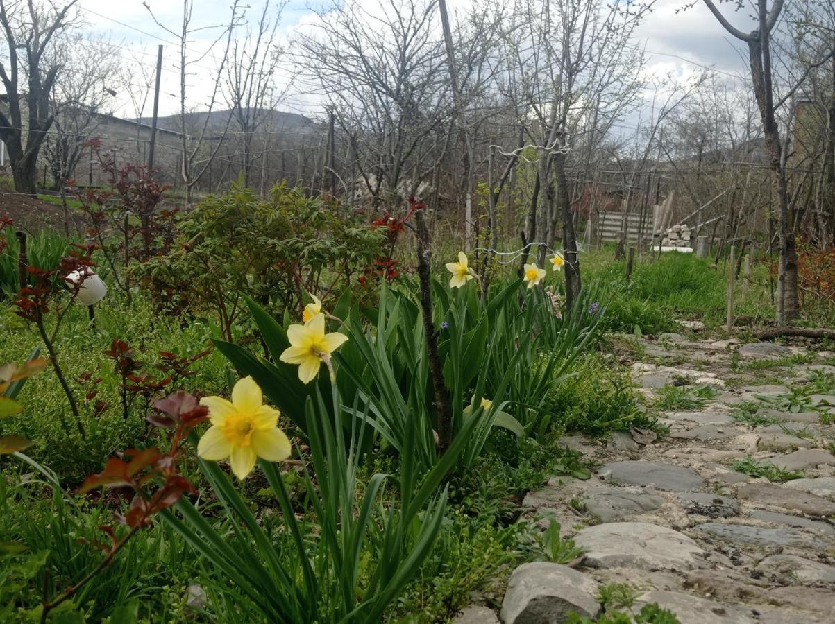 Dusheti Rose Daire Dushet'i Dış mekan fotoğraf